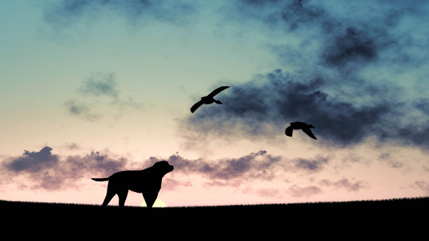 狗在日落3D渲染图片下载