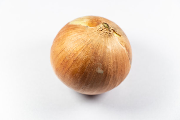 用于实验室教育的改良茎和根植物。图片下载