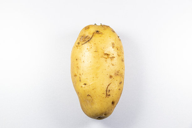 用于实验室教育的改良茎和根植物。图片下载