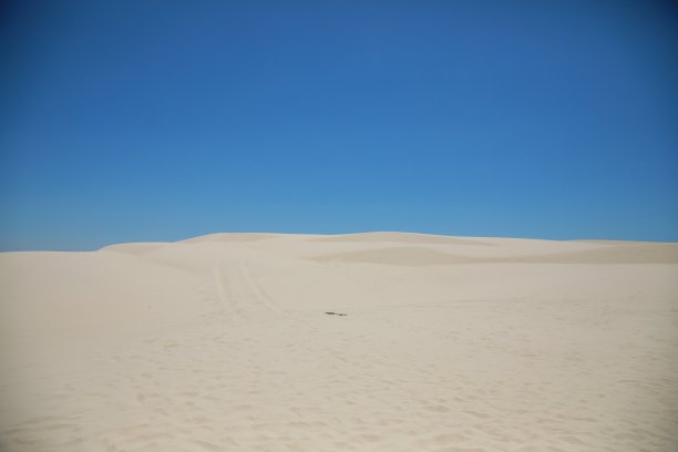 比鲁比海滩的白色沙丘图片下载