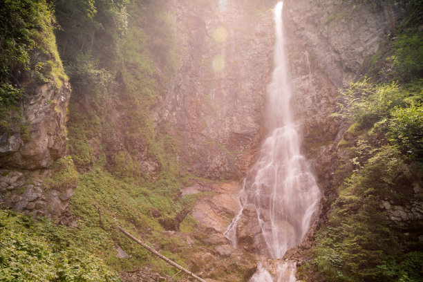 树林照片素材ID：349379490