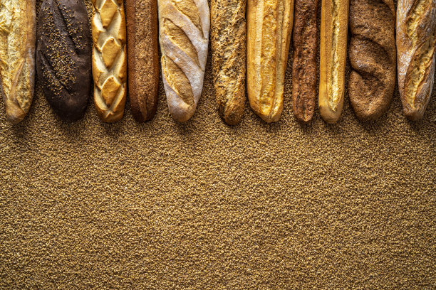长棍面包在小麦谷物上排成一排图片下载