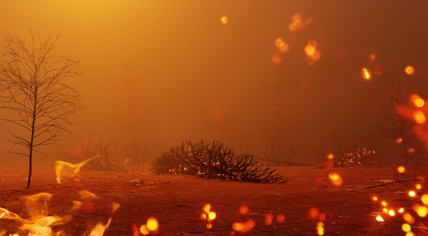 自然灾害会袭击因气候变化或人为纵火而燃烧的森林图片下载