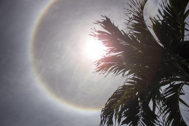 闪亮的图片下载