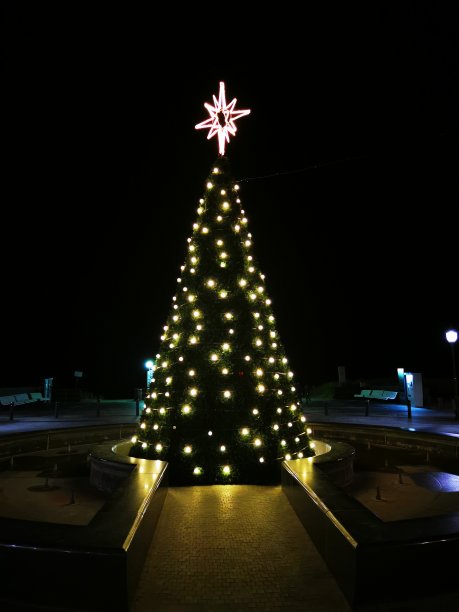 圣诞树图片下载