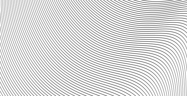 曲线波浪线背景或条纹灰度抽象背景矢量插图，创意的现代平面设计流能量横幅，小册子封面或时尚的传单图像图片下载