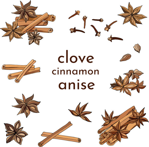 一套肉桂，茴香和丁香，香料茶和咖啡在一个白色的背景。现实的矢量插图的装饰菜单，茶和咖啡卡。图片下载