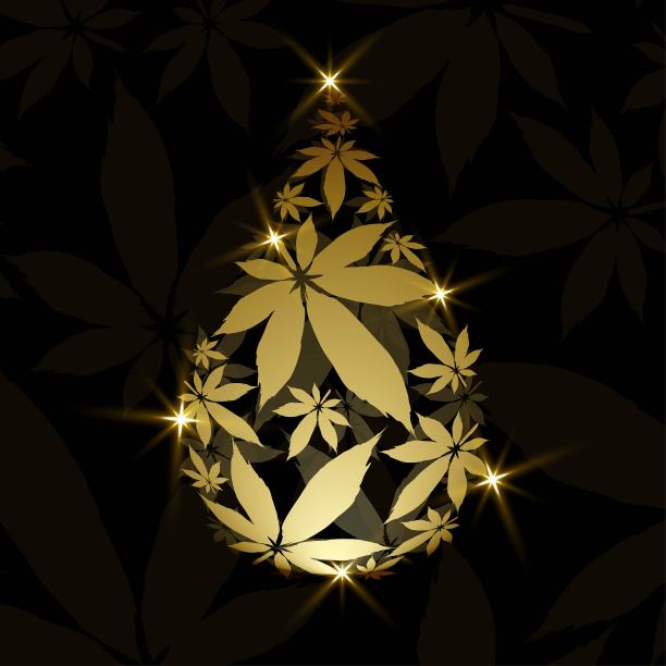 大麻液滴与大麻叶矢量背景图片下载