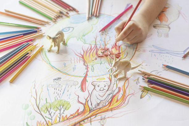 一个孩子在画澳大利亚的火灾，背景是野生动物玩具图片下载