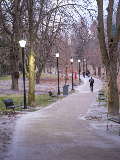 哲学家的散步-多伦多，安大略公共公园图片下载