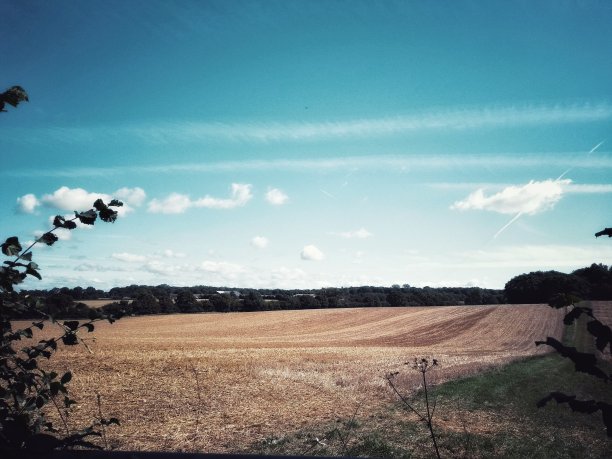 英语领域景观图片下载