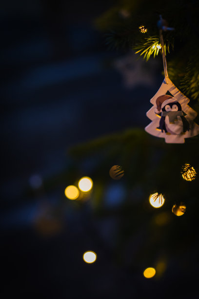 圣诞树和冬季动物装饰图片下载