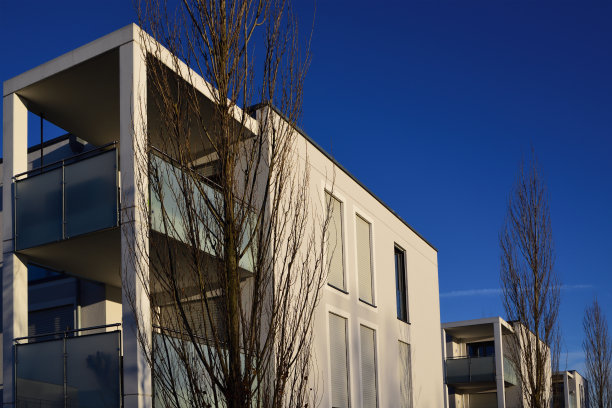 几座盒子形的明亮的新建筑，公寓在蓝天的映衬下排成一排，旁边是光秃秃的树木图片下载