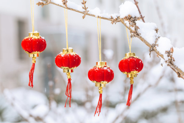 雪里的红灯笼图片下载