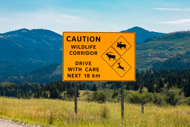 鹿驼鹿麋鹿过马路标志图片下载