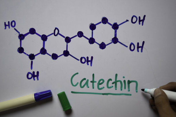 儿茶素分子写在白板上。结构化学公式。教育的概念图片下载