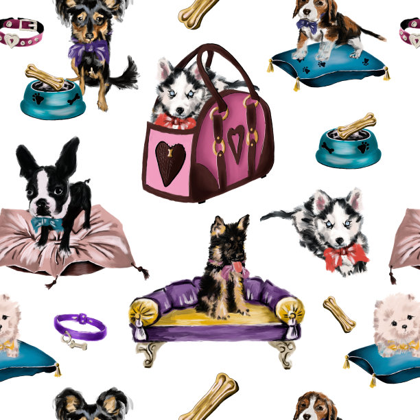 无缝图案插图狗和配件图片下载