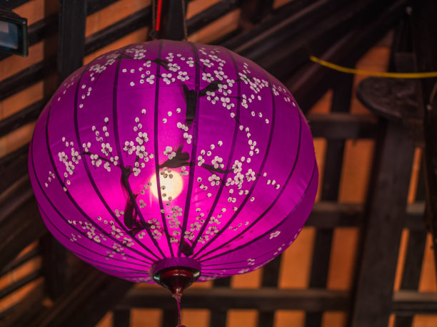 亚洲民族紫灯图片下载