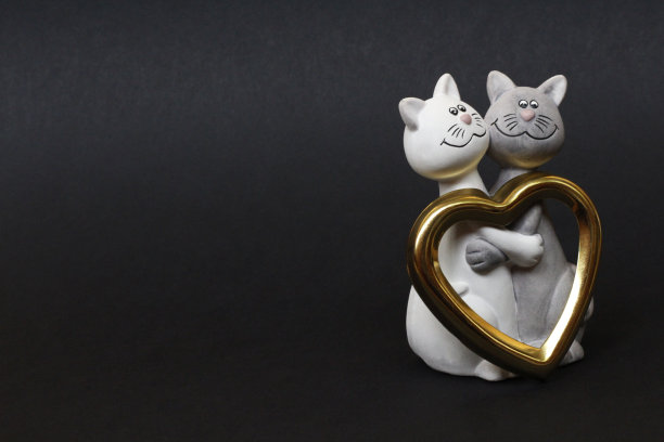 两只猫在拥抱。猫很亲密，彼此相爱。图片下载