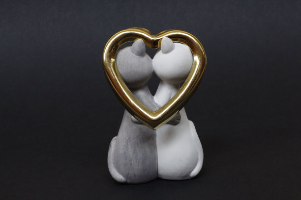 两只猫在拥抱。猫很亲密，彼此相爱。图片下载