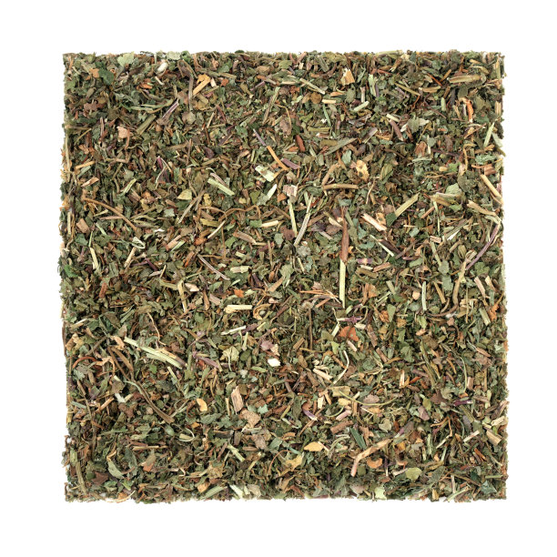 地面常春藤草药草药图片下载