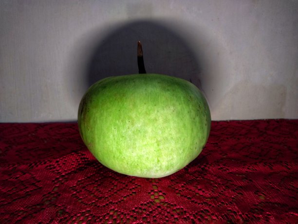 红色的餐桌上，绿色的Lagenaria Vulgaris蔬菜在白色的背景上反射。图片下载