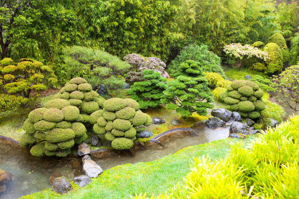 旧金山金门公园的日本茶园图片下载