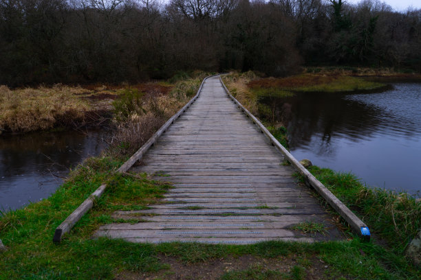 冬天的路径图片下载