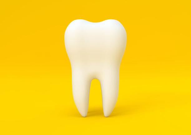 黄色背景上的前磨牙牙科模型图片下载