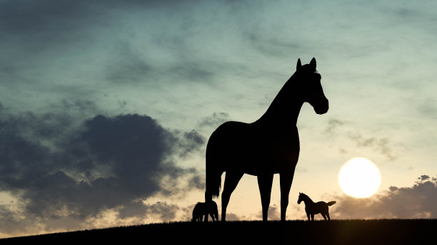 马户外日落3D渲染图片下载
