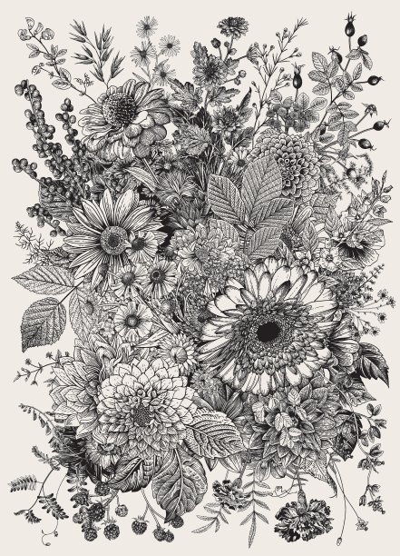 秋天的气味。图片下载