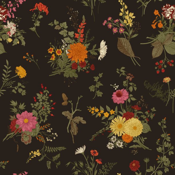 秋天的花卉图案。图片下载