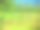 奶牛在夏天的农田里吃草。图片下载