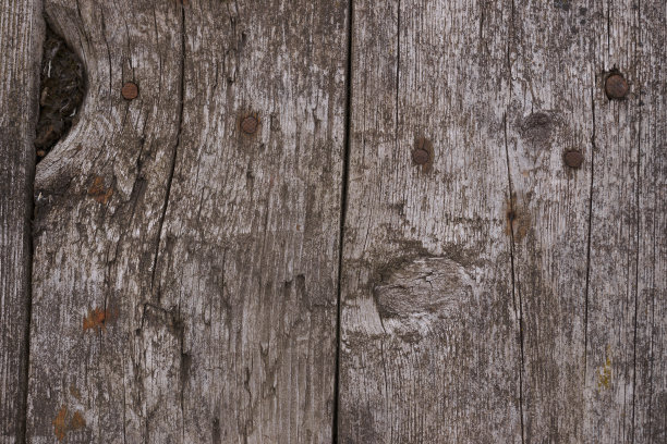 老木纹表面特写。表面有苔藓和浮雕。老木板的旧木纹和苔藓的库存照片。照片上的棕色和灰色。图片下载