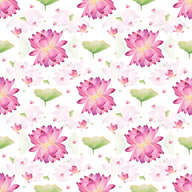 水彩无缝图案与粉红色荷花。无缝对称的荷花图案图片下载