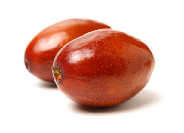 枣子或中国枣图片下载