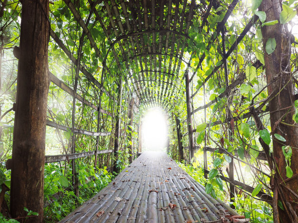 在花园路图片下载