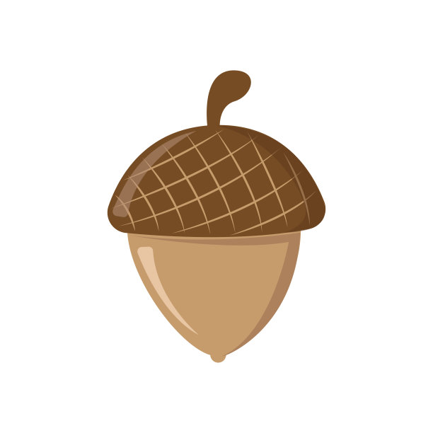 棕色的橡子与帽子在白色孤立的背景。前视图。平面设计图片下载