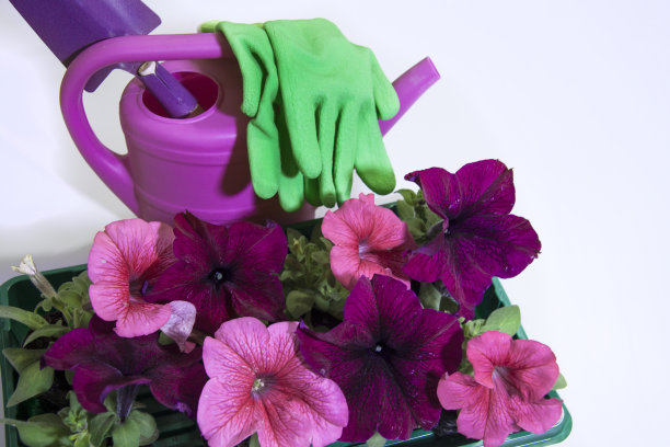 为春天做准备。在花园里着陆工作。种花的工具。图片下载