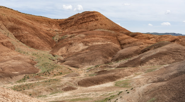 彩色山火鸡Igdir图片下载