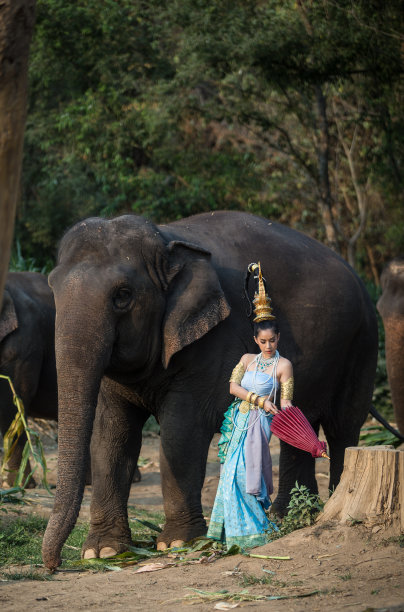 泰国女孩穿着传统服装和大象图片下载