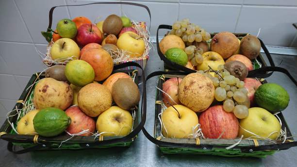 篮子里的水果图片下载