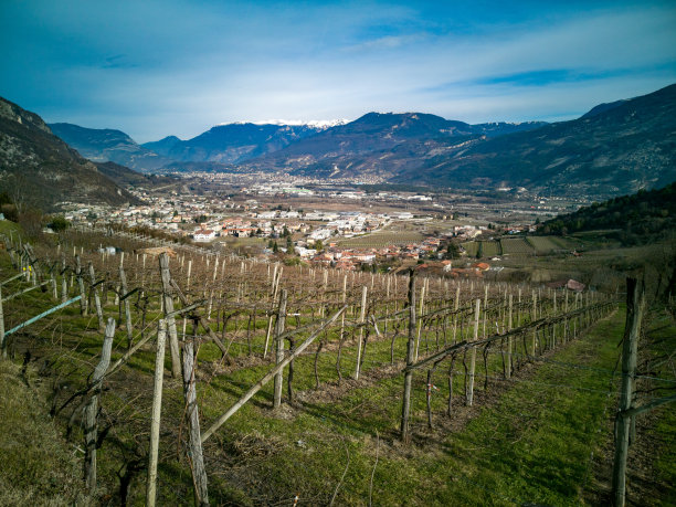 瓦拉加里纳图片下载