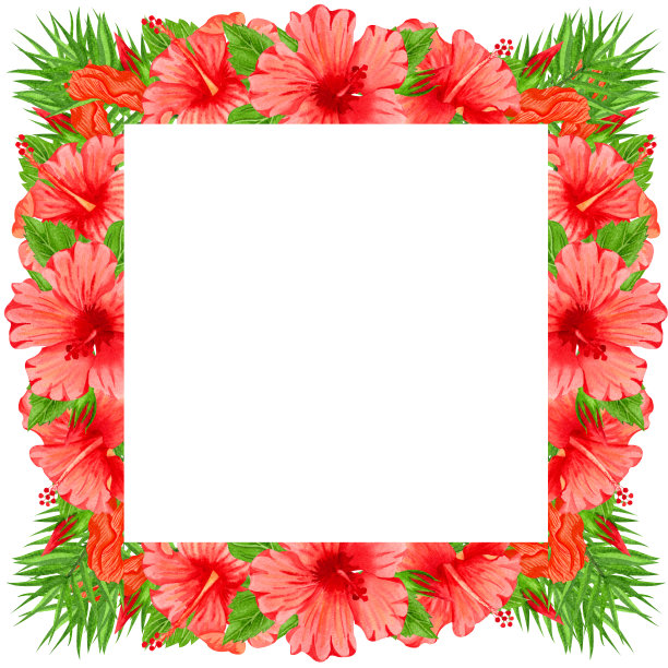 水彩框架与红色芙蓉花。手绘花卉边界与热带的花和叶。婚礼请柬，贺卡，设计。热带花环。图片下载