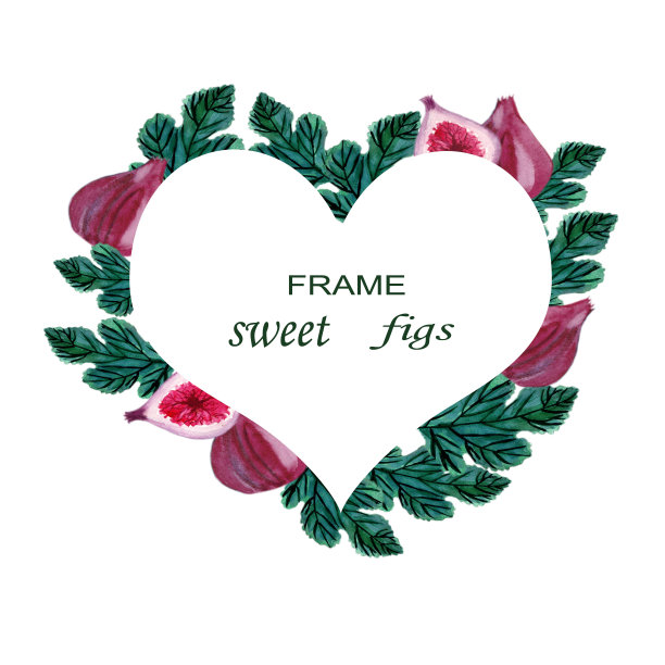 成熟的甜无花果在白色的背景。时尚的印花纺织品设计图片下载