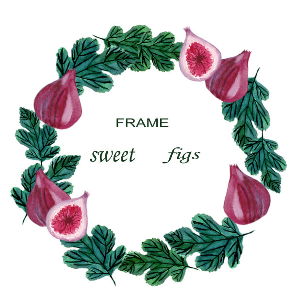 成熟的甜无花果在白色的背景。时尚的印花纺织品设计图片下载