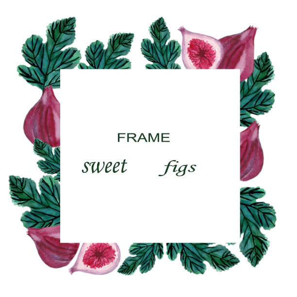 成熟的甜无花果在白色的背景。时尚的印花纺织品设计图片下载