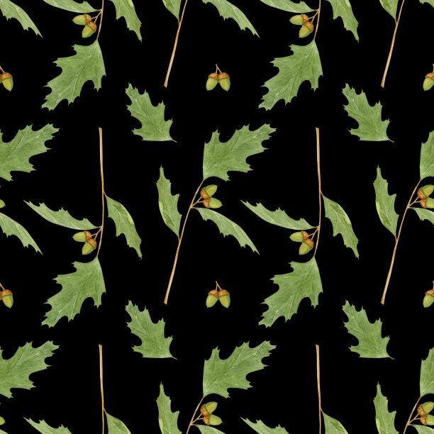 橡木树枝水彩无缝图案上的黑色图片下载