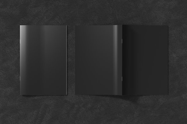 垂直的小册子或小册子。关上一本小册子，把另一本倒过来。图片下载