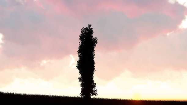 植物在日落景观背景，3D渲染图片下载